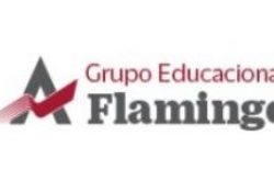 Grupo Educacional Flamingo